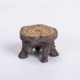 Fairy Log Table