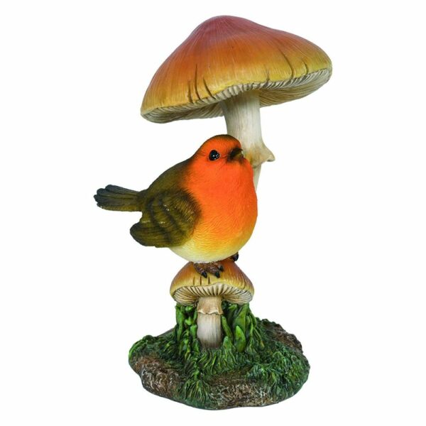 Robin On A Toadstool.