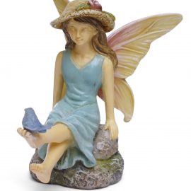 Fairy Perch