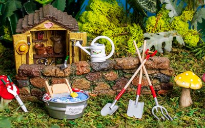 What is the purpose of Fairy Gardens?