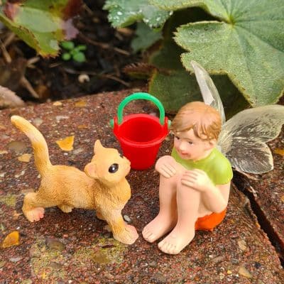 Fairy Garden Boy And Cat Set